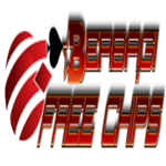 berbagifreechip.com-logo